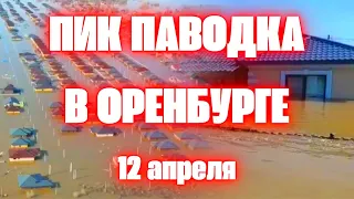 Наводнение в Оренбурге сегодня затопило губернатора, вода добралась до элитных районов