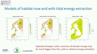 Annex IV Webinar #13: Fisheries Interactions with Marine Renewable Energy Development