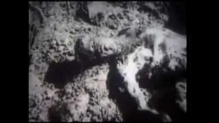 JASENOVAC (1945), documentary film