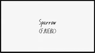 The Cat Empire - Sparrow (Official Lyric Video)