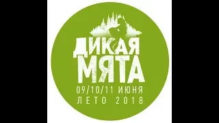 Дикая Мята 2018