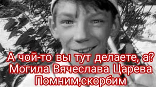 Могила Вячеслава Царева.Мальчик с сачком.Добро пожаловать или посторонним вход воспрещен