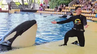 Keto & Dani, Tekoa & Idaira, Adán & Aday - OrcaOcean, Loro Parque 08.02.2024