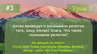 Аллах приводит к пониманию религии того, кому желает блага. Что такое понимание религии?