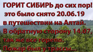 Пожар в Сибири с чего все начиналось, горит уже 2 месяца.