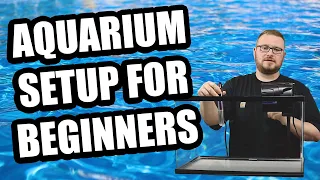 How to Setup an Aquarium - Beginners Guide for Setting Up Your First Aquarium