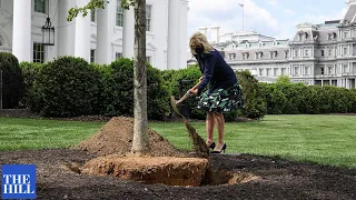 Jill Biden participates in an #ArborDay tree planting on the North Lawn of the White House