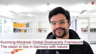 1st Anniversary of the Kunming-Montreal Global Biodiversity Framework | Biodiversity