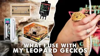 Everything I Use With My Leopard Gecko | Heating, Lighting, Substrate, Tank, etc