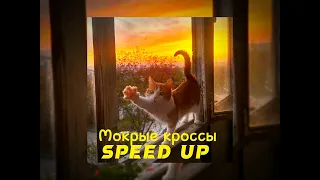 Тима Белорусских ~ Мокрые кроссы ° (speed up) ° #музыка #music