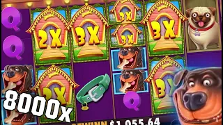 Dog House Megaways UNBELIEVABLE 8000x+ Win!