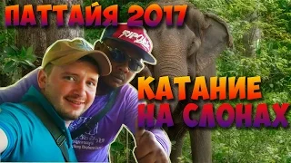 Тайланд / Паттайя / Экскурсия на реку Квай / Катание на слонах
