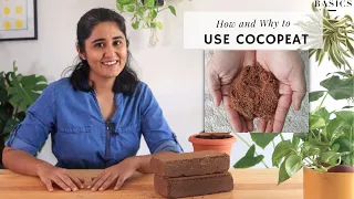 How to use Cocopeat the right way for Plants? | Ep.9 Garden Up Basics