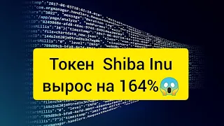 Токен Shiba Inu вырос на 164% после листинга на криптобирже Binance