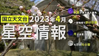 2023年4月の星空情報・天文現象（水星が東方最大離角／一部地域で部分日食／月が金星、火星に接近／4月の月の暦）