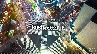 #223 KushSessions (Liquid Drum & Bass Mix)
