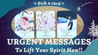 URGENT MESSAGES To Lift Your Spirit now!? 🔔⎜Pick a card 🌟Timeless reading 🐟