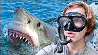 Diving with Great-White Sharks in South AUSTRALIA!