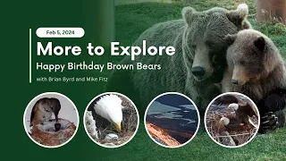 Happy Birthday Brown Bears | More to Explore Live Show