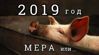 Число 2019 – год, к которому применима МЕРА;  число 2020 года и число 2021 года; Нумерология