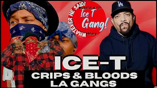 Ice-T Daughter Lived in A Blood Area The Jungle! Im From a Crip Area! Ice-T Break Down Gang Culture