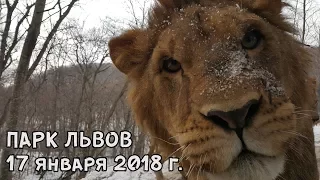 ПАРК ЛЬВОВ 17 ЯНВАРЯ 2018 Г.