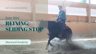 Reining: Stop Training mit Sven Bösl