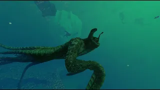 Sea Emperors Existed In Subnautica Below Zero!