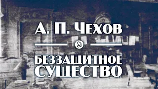 А. П. Чехов "Беззащитное существо" аудиокнига рассказ