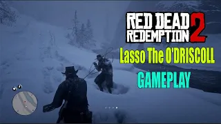 Red Dead Redemption 2 - Lasso The O'DRISCOLL from The Horse Mission (RDR 2)