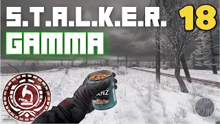 Stalking in a Winter Wonderland - GAMMA 0.9.1 UNISG pt.18