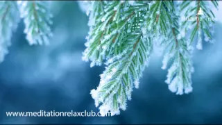 Christmas Nature Sounds Music: New Age Relaxing Songs for Christmas Parties