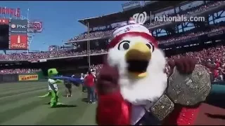 Screech wins Nationals Presidents Race with help from area mascots