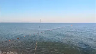 Рыбалка на Азовском море, станица Должанская, Ейский район, на пиленгаса, 20.06.2022