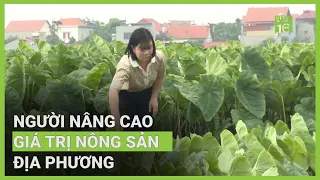 Trồng khoai sọ 3 vụ/năm, nông dân lãi lớn | VTC16