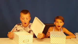 Mystery Box Of Slime Challenge Part 2. Fans Decide Brother V Sister