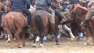 Кокпар Мақтаарал ауданы (Алғи Серіктің кокпары) 10.02.2017ж. 2 -бөлім