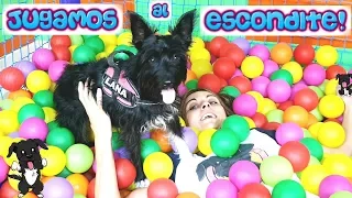 ¡JUGAMOS AL ESCONDITE en un PARQUE INFANTIL!  Lana Funny Dogs