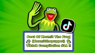 BEST OF KERMIT THE FROG TIKTOK COMPILATION 11 !!