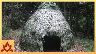 Primitive Technology: Thatched Dome Hut