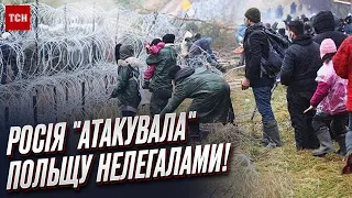 👀 Росія постаралася! Нелегали штурмують польський кордон з території Білорусі!