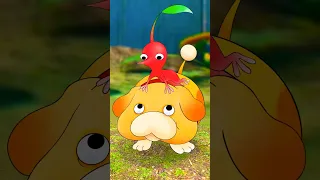 The Funny Face (Pikmin Animation)