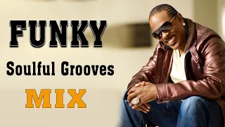 Funky Soulful Grooves Mix | Funk Classic Soul