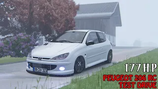 177 BHP Peugeot 206 RC Test Drive on A Foggy Day | Aspertsham - Assetto Corsa