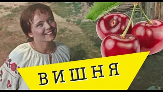 🍒Тяни-Толкай и Светлана Питерская-ВИШНЯ🍒|