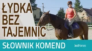 Łydka bez tajemnic - Słownik komend