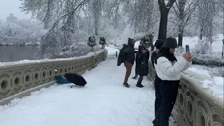 NYC LIVE Snow Walk: 2024 Biggest Nor'easter in 2 Years Lorraine Snowstorm Central Park & Manhattan