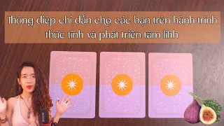 Thông điệp đặc biệt dành cho những ai trên hành trình thức tỉnh tâm linh | Trang the Sirian