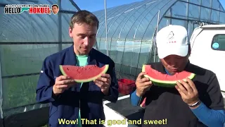 Hello HOKUEI vol.4 "Harvesting Daiei Suika watermelons"