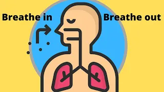 The journey of oxygen through your lungs